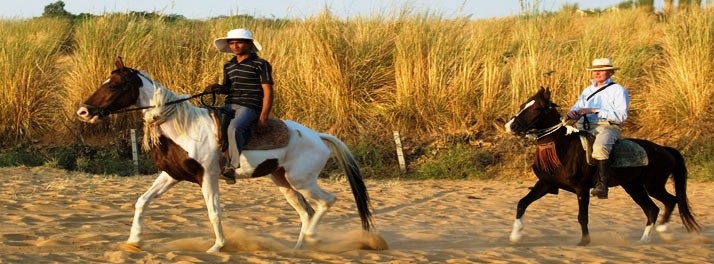 348/Pushkar Resort - Pushkar 13.jpg